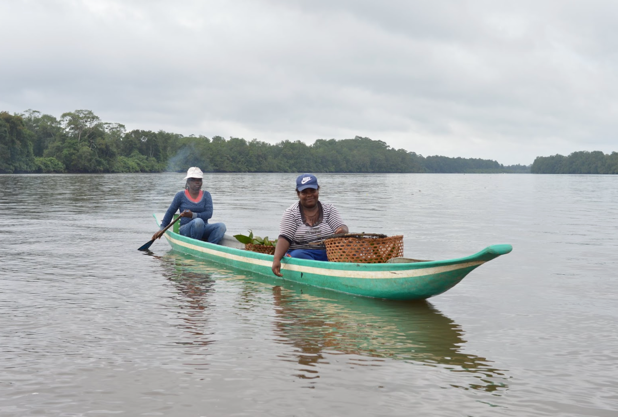 BIODIVERSIDAD del pacifico colombiano