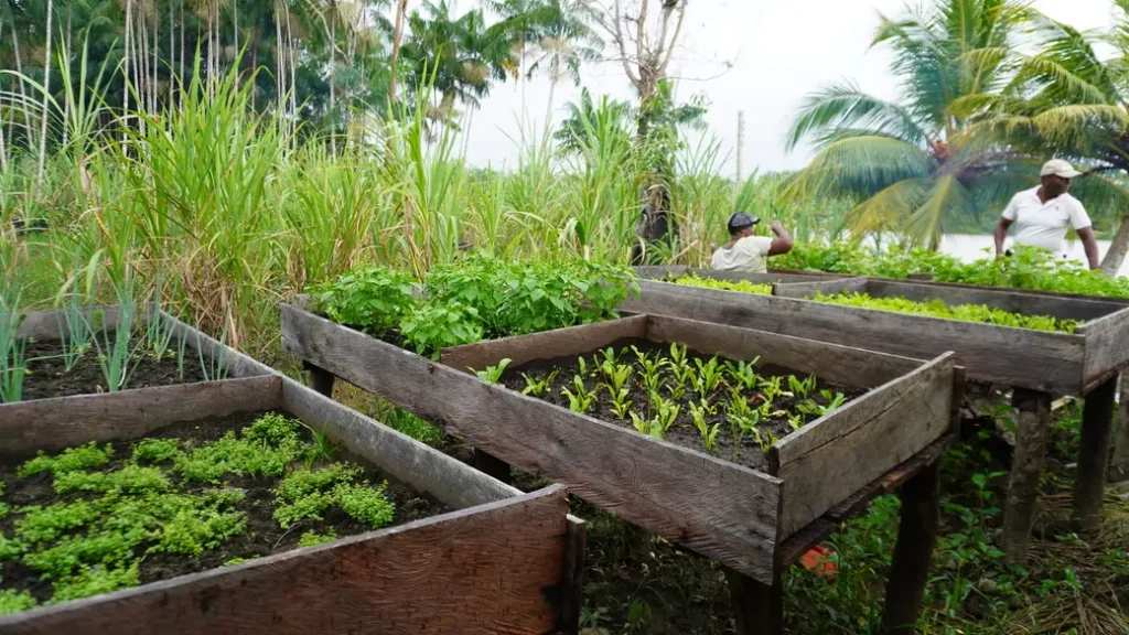 Créditos: Fundación Chiyangua